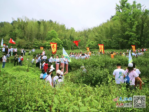 弘扬茶文化 共赴春之约 明月山举行“禅心似月”徒步禅活动