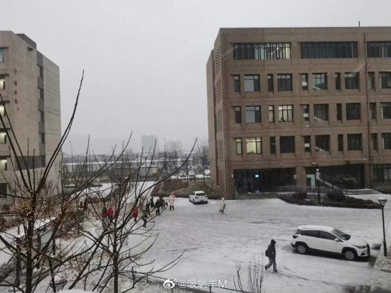 <em>冬至后</em>，菏泽第一场雪如约而至！