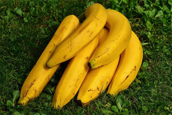 <em>梦到</em>捡香蕉会是什么预兆