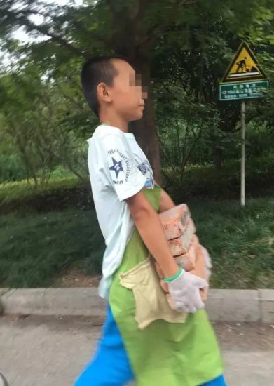 杭州11岁<em>男孩</em>开学第一天在搬砖！爸妈让他退学接受"新教育"