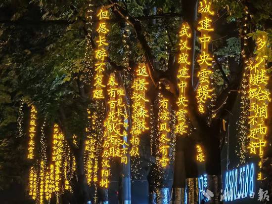 武汉城建一楼盘行道树变“广告树” 市民呼吁为树“松绑”
