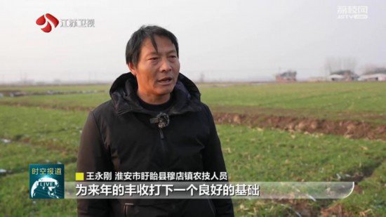 防范雨雪冰冻灾害 江苏各地农技人员踏田指导保障农业生产
