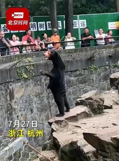 杭州<em>动物园黑熊</em>被疑是人扮的，园方回应：肯定不是人扮的，夏天...