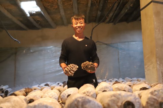 新疆和硕：营养“蘑菇包”成为村民“致富宝”