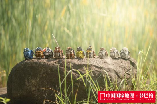 《中国国家地理》重磅推出全新自然教育<em>玩具品牌</em>——梦巴格