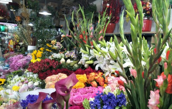 年观|花卉市场人流如织！情人节紧挨春节玫瑰身价水涨船高