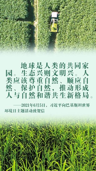 世界地球日｜习近平推荐的菌草，有着怎样的“绿色密码”？