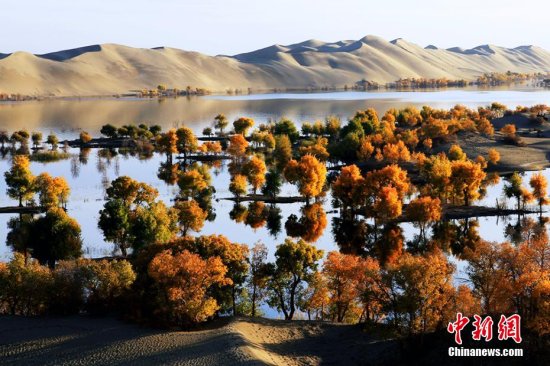 “沙漠明珠”新疆<em>葫芦岛</em>最美观赏季 尽显安宁深远幽静