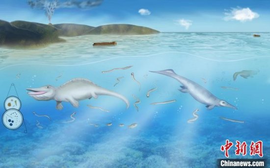 中国发现“<em>南漳</em>—远安动物群”早三叠世牙形化石