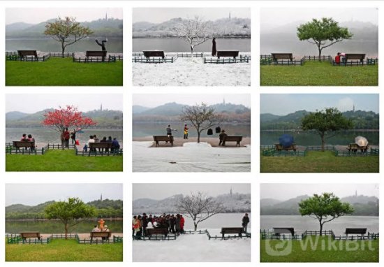 这张火遍全网的“西湖柳树”<em>摄影</em>作品，上线无界版图啦！