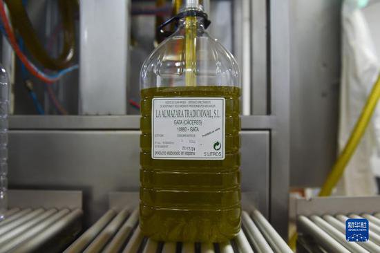 西班牙：探访<em>橄榄油</em>制作