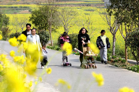 绥阳：春风吹暖“花经济” 以花为媒产业兴