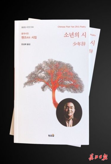 阎志<em>诗集</em>《少年辞》获韩国“文学青春国际文学奖”
