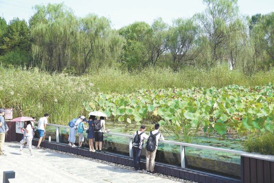 北京湿地面积达6.21万公顷 处处都是水源涵养鸟兽栖息<em>的好地方</em>