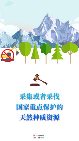 违反青藏高原生态保护法<em>哪些行为</em>会被从重处罚？
