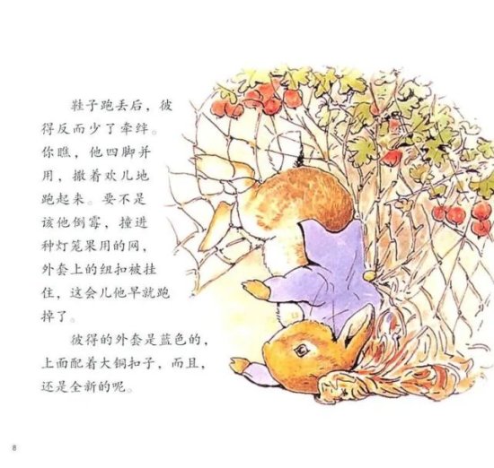 新书｜<em>彼得兔的故事</em>：全球销量过1.5亿册的百年童话经典