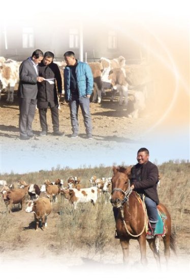 在内蒙古兴安盟科右中旗，农牧民可以用牛作为抵押物向<em>银行申请</em>...