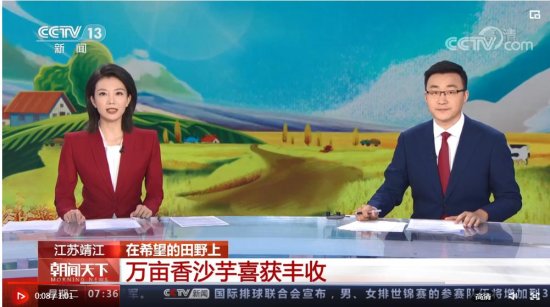 <em>江苏靖江</em>香沙芋机械化耕种水平提高至90%以上