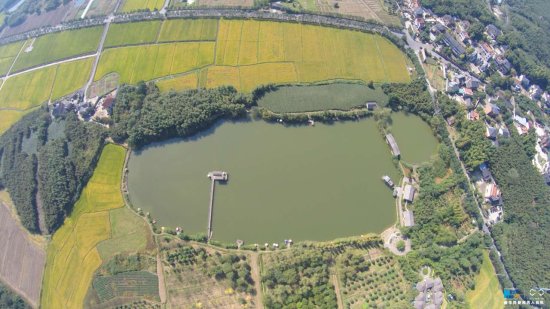 杭州/图为高空鸟瞰金色池塘。...