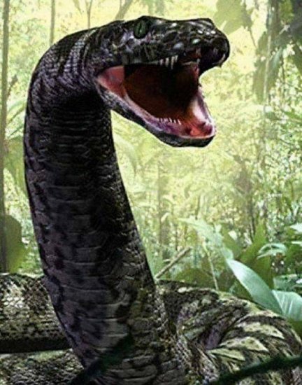 5800万年前地球一次高烧，催生史上最大的蛇，体重高达1吨