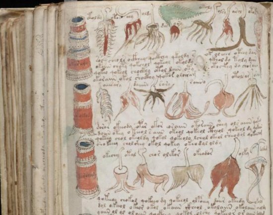 600年前的欧洲神秘<em>手稿</em>，被称无解天书，一度被认为是外星人...