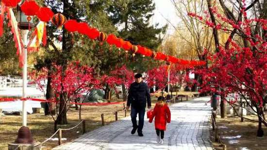 北京大观园庙会再现家庆团圆的场景