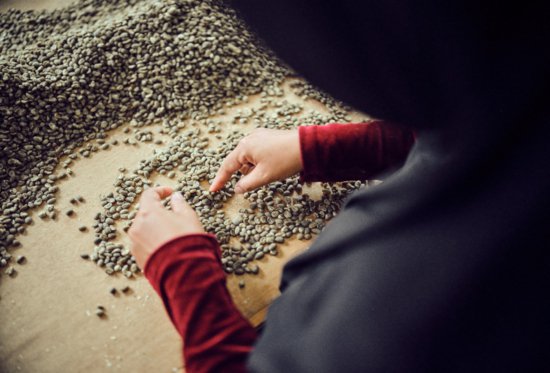 <em>瑞幸咖啡</em>全球寻豆之旅探访印尼 产地溯源持续挖掘高品质咖啡