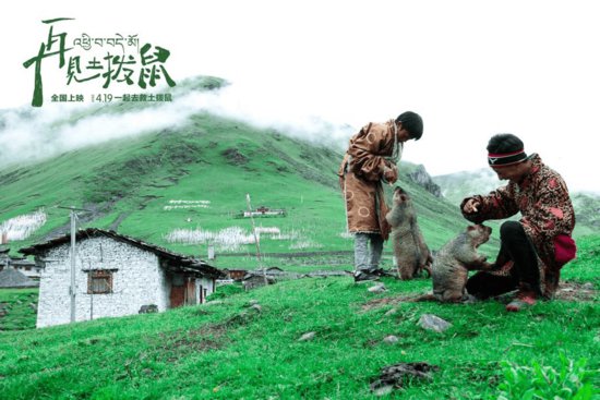 电影《再见土拨鼠》荣获金鸡奖最佳儿童片 4月19日温情上映