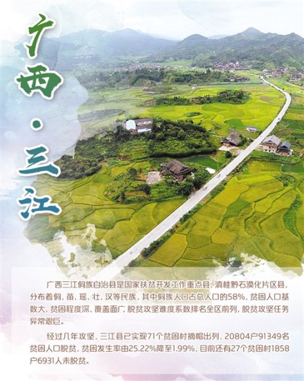 广西三江：“种茶种稻”致富可靠
