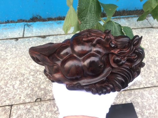 海黄极品油梨龙龟：雕工精湛，收藏级精品