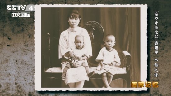 《国家记忆》丨当年的“袁小孩”是如何走上研究杂交水稻之路的...