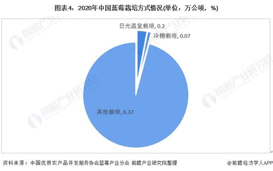 2021年中国<em>蓝莓</em>产业发展现状与区域竞争格局分析 贵州成我国最大...