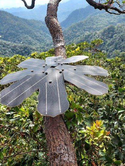 英飞凌与Rainforest Connection合作，利用先进的传感器技术保护...