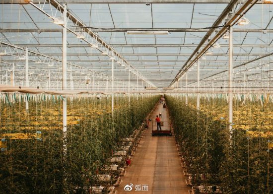 农业科技公司Source.ag获400万美元新融资，来提升温室农业创新