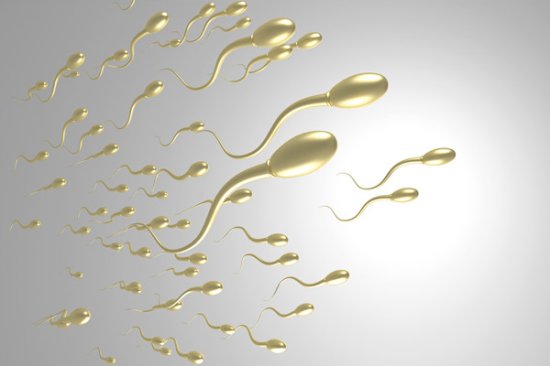 精子不好导致<em>胎停吗</em> 关于精子你真的了解多少？