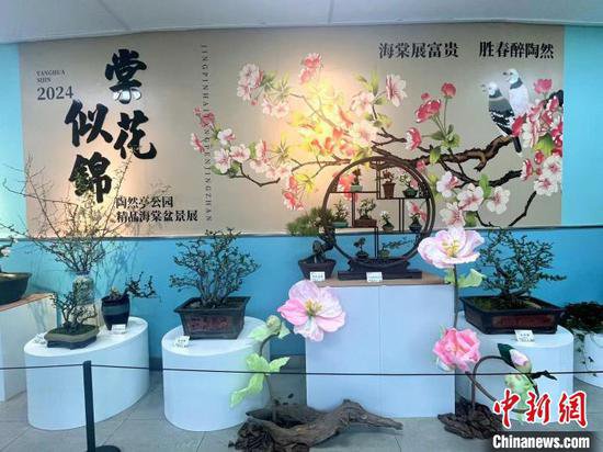 海棠春花文化节将在北京<em>陶然亭</em>公园开启 北美海棠品种亮相