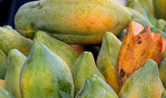木瓜高产<em>栽培技术要点</em>，抓好花果管理和病虫害防治，促进增产...