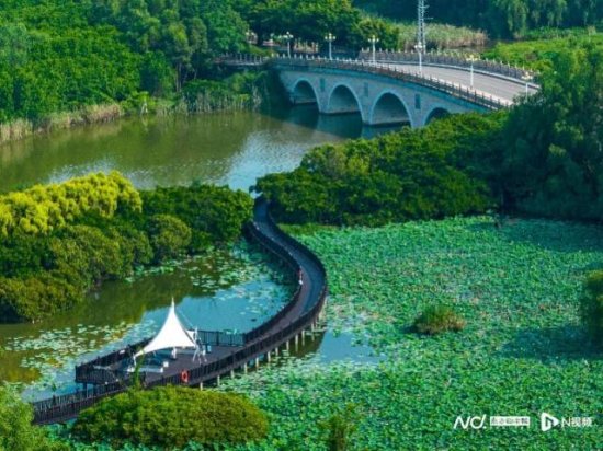 南沙力争明年建成广东省全域旅游示范区