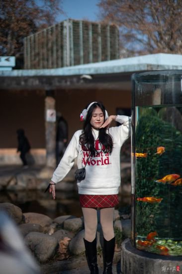 上海动物园意外"翻红" 复古格调成为"梦核公园"
