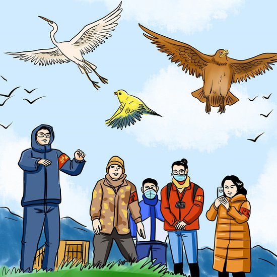 十二张<em>漫画</em> 记录他们与候鸟迁徙的<em>故事</em>