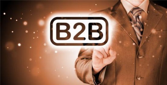 商务信息网：B2B<em>网站</em>权重从哪里来、如何快速获得排名？