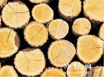 俄罗斯知名<em>木材企业</em>：开始将欧洲份额转至埃及