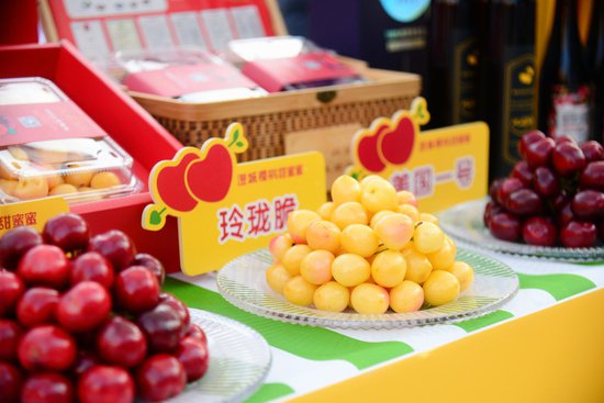 第五届中国·澄城樱桃营销季系列活动将于5月20日启动
