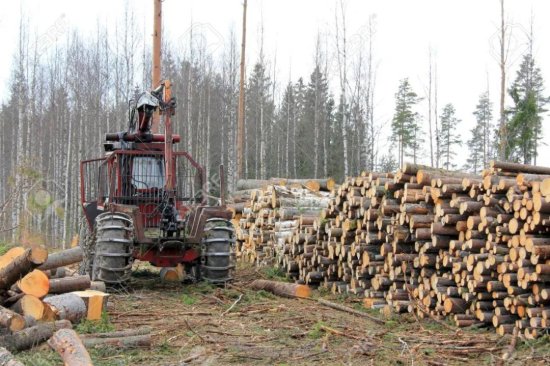 全球主要<em>木材市场</em>2020年回顾