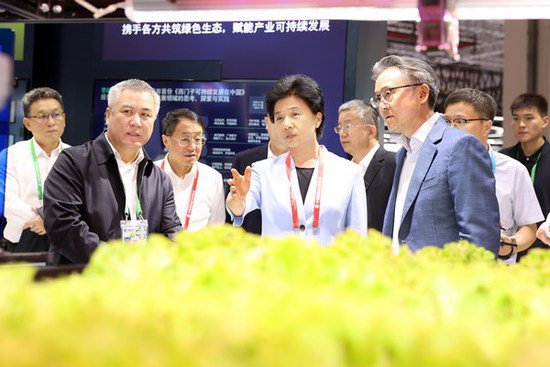 梁惠玲率团参加第六届中国国际进口博览会