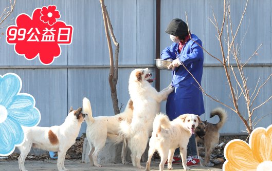 中国<em>小动物</em>保护协会：“99公益日”为流浪动物募捐粮食