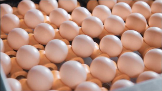 年货节销量增长50%，圣迪乐<em>鸡蛋</em>“拼”<em>上</em>兔年春节餐桌