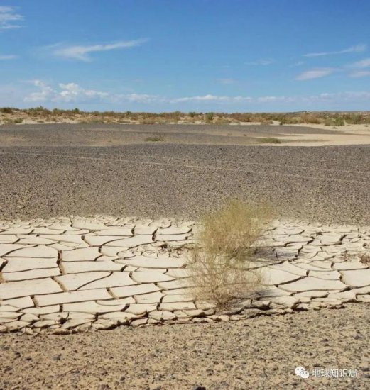 蒙古国的沙尘暴<em>有多严重</em>？气候变迁和破坏环境恶性循环