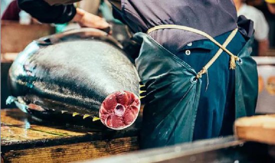 日本东京的筑地鱼市场<em> 世界</em>上<em>最大的鱼类</em>和海鲜批发市场