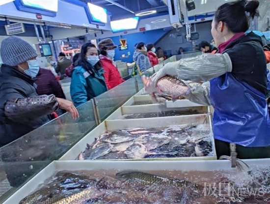 鳊鱼<em>喜头鱼</em>单价过十元， 春天时节市民吃鱼得多花钱了